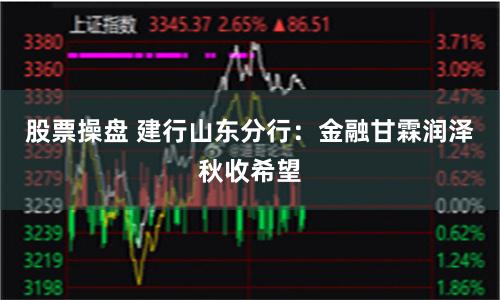 股票操盘 建行山东分行：金融甘霖润泽秋收希望